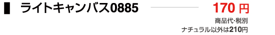 ライトキャンバス0885