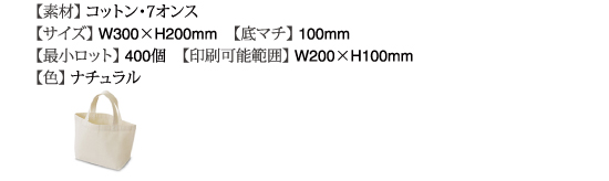 ライトキャンバスC0907